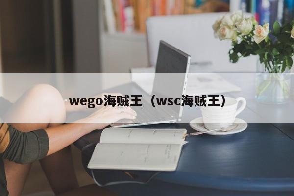 wego海贼王（wsc海贼王）