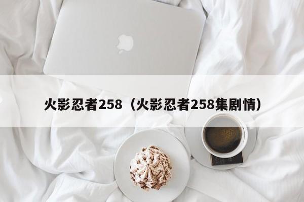 火影忍者258（火影忍者258集剧情）