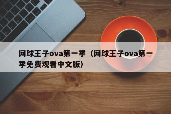 网球王子ova第一季（网球王子ova第一季免费观看中文版）