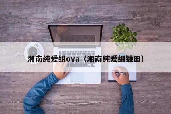 湘南纯爱组ova（湘南纯爱组镰田）