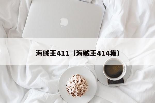 海贼王411（海贼王414集）