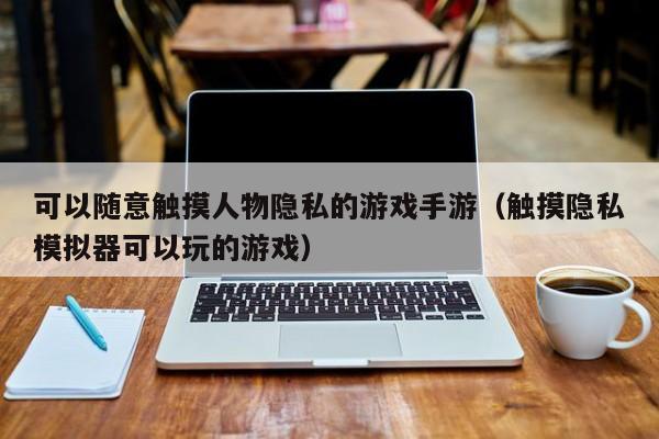 可以随意触摸人物隐私的游戏手游（触摸隐私模拟器可以玩的游戏）