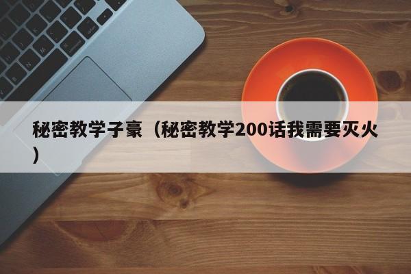 秘密教学子豪（秘密教学200话我需要灭火）